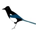 magpiedove avatar