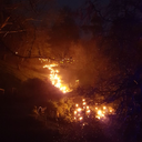 magpiegibbondad avatar