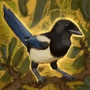 magpieguy avatar