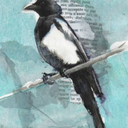 magpies-hiraeth avatar