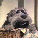 magpiethepunkwolf avatar