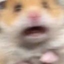 mahallekekonuz avatar