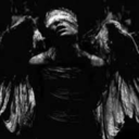 maicol-casstellanos avatar