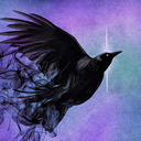 maiden-of-ravens avatar