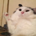 maiiiiiiiiiiii avatar