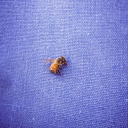 mailboxmatchstick avatar