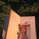 maillystudies avatar