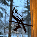 mainely-my-interests avatar