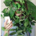 maintien-de-lequilibrel avatar