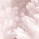 mais-bien-sur avatar