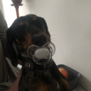 maistokeletesvagy avatar