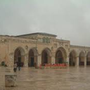 majdalawi2014 avatar