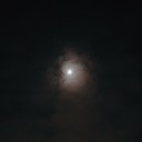 majestic-charm avatar