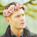 majestic-dean avatar