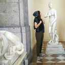 majestic-perception avatar