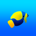 majesticangelfish avatar