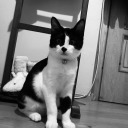 makarnalisalca avatar