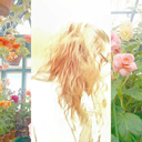 make-cities-green-again avatar