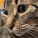 make-them-laugh avatar