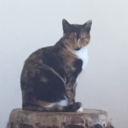 makebelieveisbetter avatar