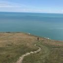 makeittospring avatar