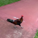 makemecryplease avatar