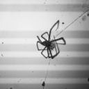 makemefeelrighthere avatar