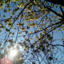 makemeimmortalwithahug avatar