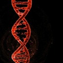 makememadscientist avatar