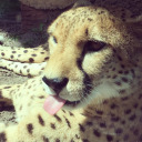 makemesmilex22 avatar