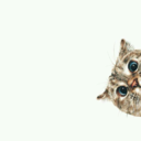 makemewannasay-blog avatar