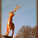 makeminecurious avatar