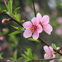 makeup-goblin avatar