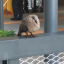 makeyounoticeme avatar