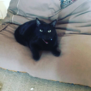 makingsin-intherain avatar