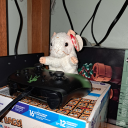 makosharkkisr avatar