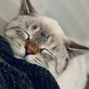 makoutdoors13 avatar