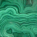 malachite-in-corvidae avatar