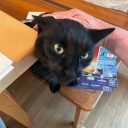 malachite-manatee avatar