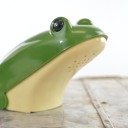 malachitefrog avatar