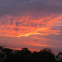 malachitezmeyka avatar