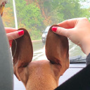 malamarta3112 avatar