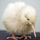 malaysia-trips avatar