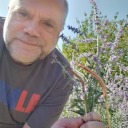 malcolmisverythirsty avatar