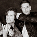 malfoyprincess avatar