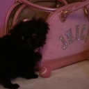 malibubarbie1999 avatar