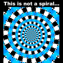 malibuken4ever avatar