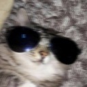 maliciously-macabre avatar