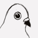 maliciouspigeons avatar