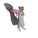 malicioussquirrel avatar